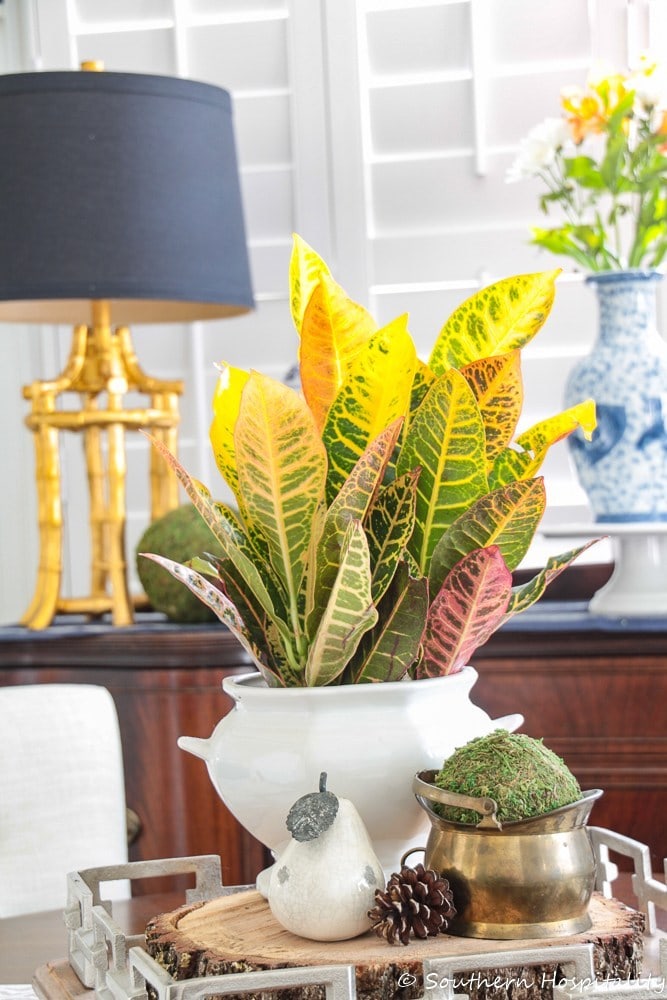 fall-decorating-home-tour