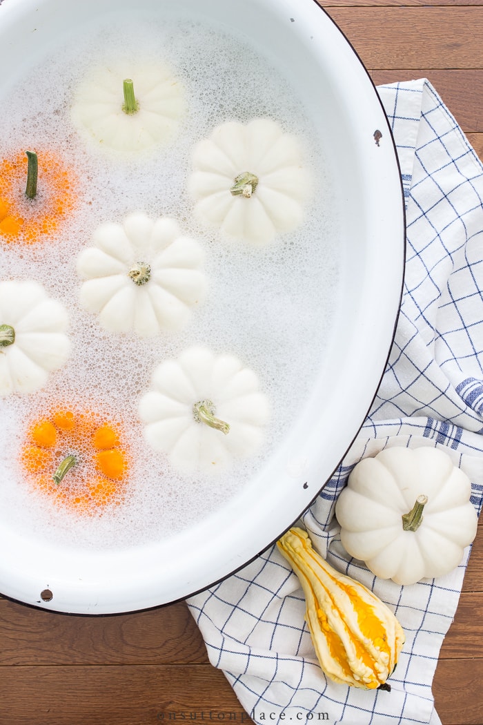 How to Preserve Pumpkins from On Sutton Place
