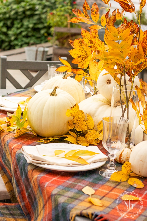 GOLDEN-LEAVES-AND-TARTAN-TABLESCAPE-WHITE-pumpkinsstonegableblog