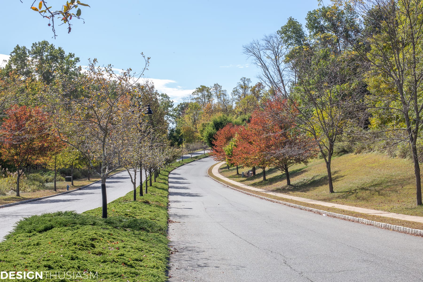 putting down roots choosing aa special neighborhood