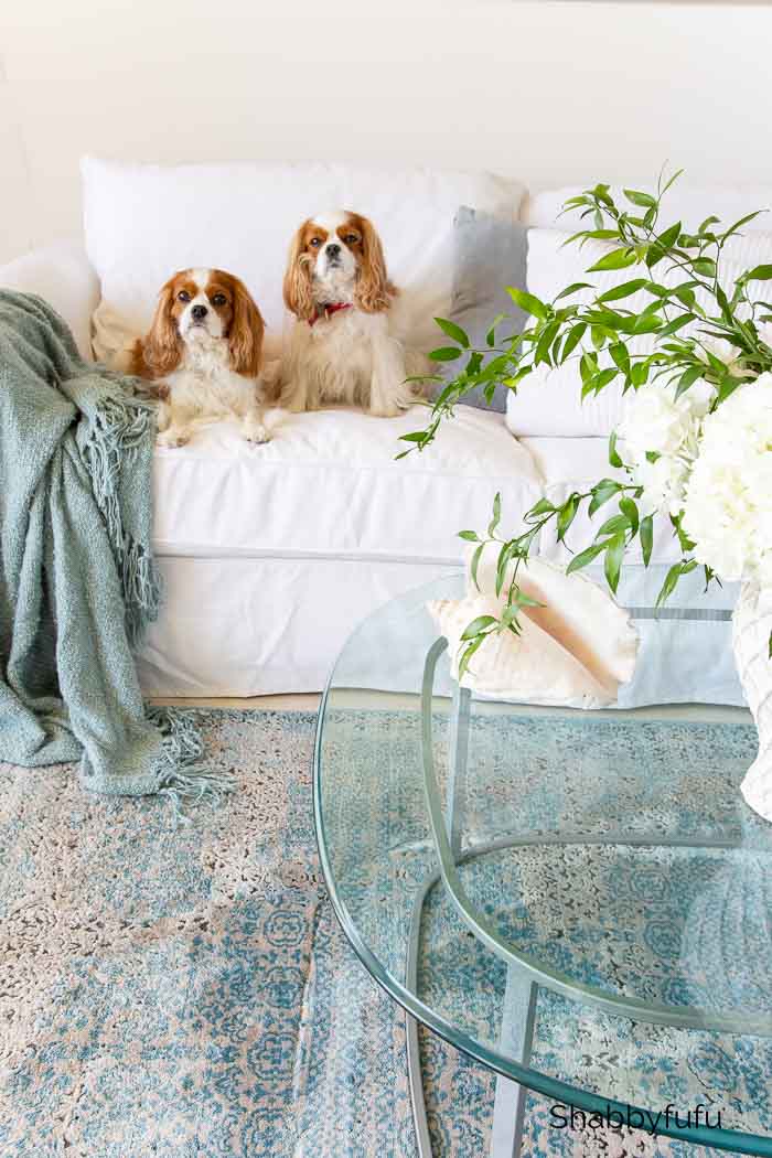Shabbyfufu - How to Get Rid of Odors Naturally In Your Home