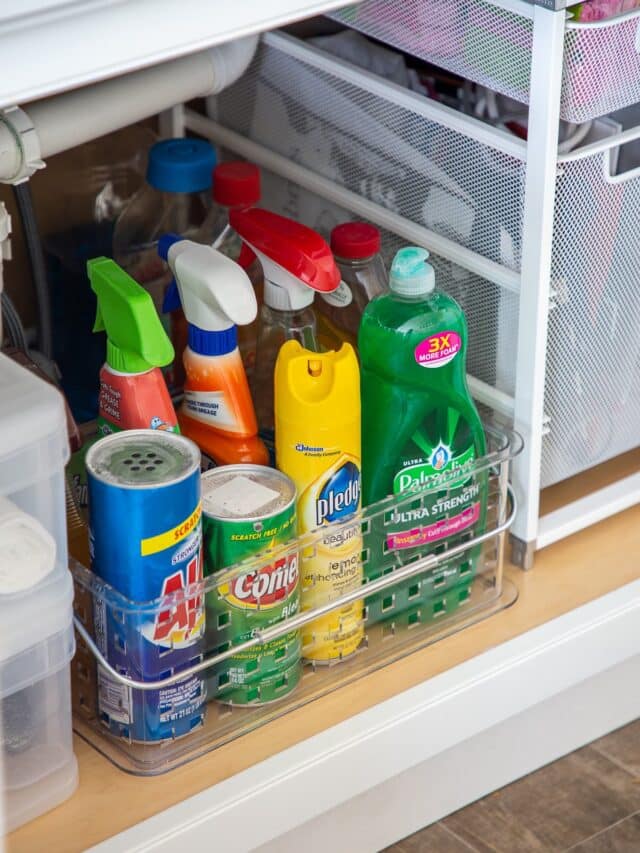 under sink storage for cleaning supplies
