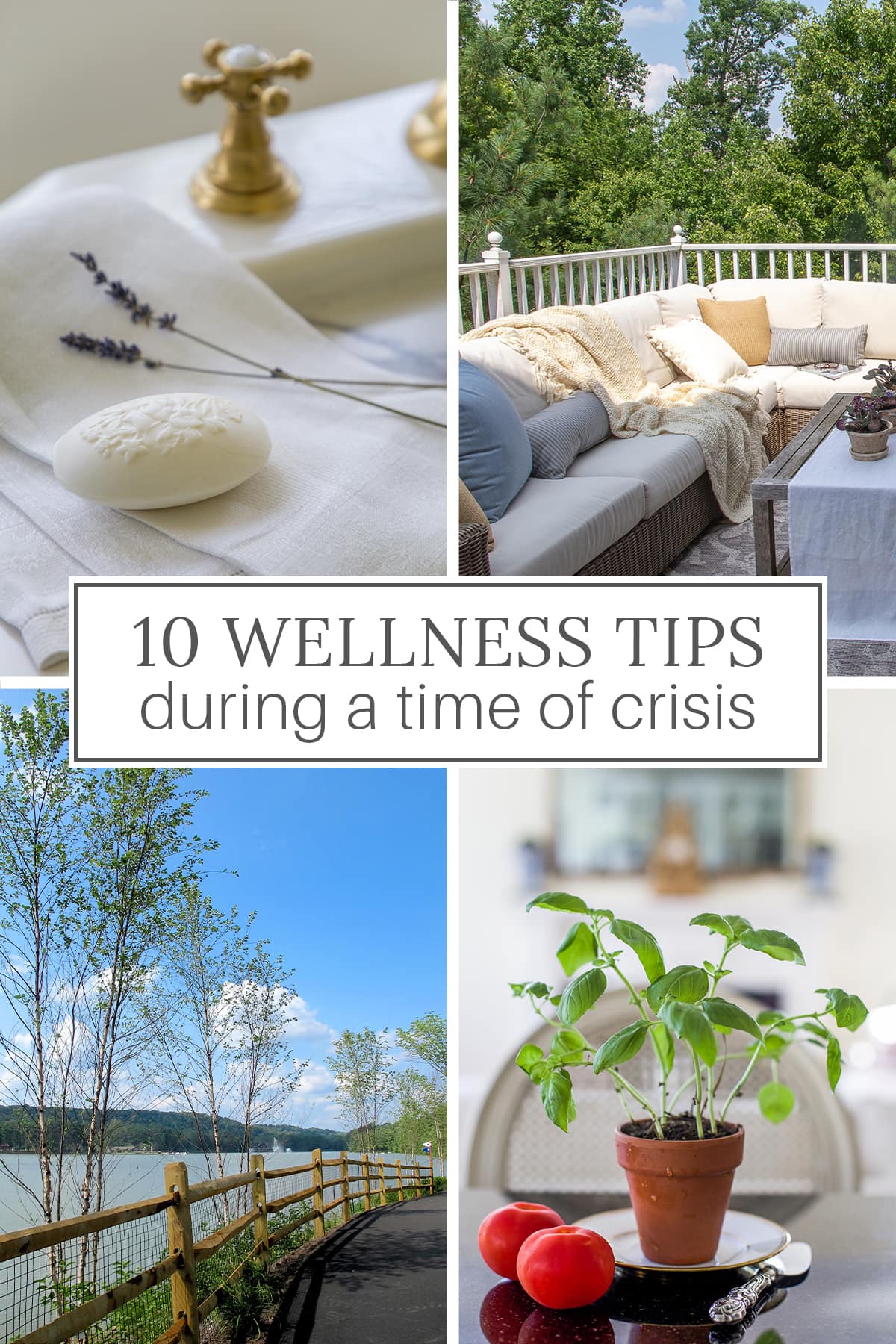 wellness tips