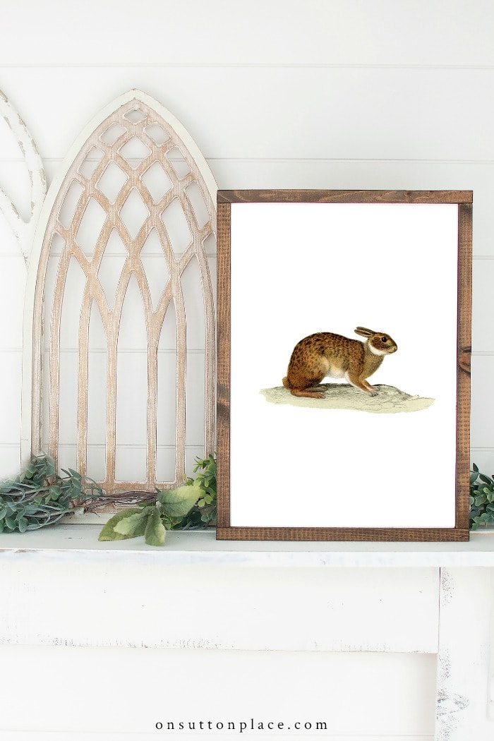 Vintage Rabbit Printables from On Sutton Place