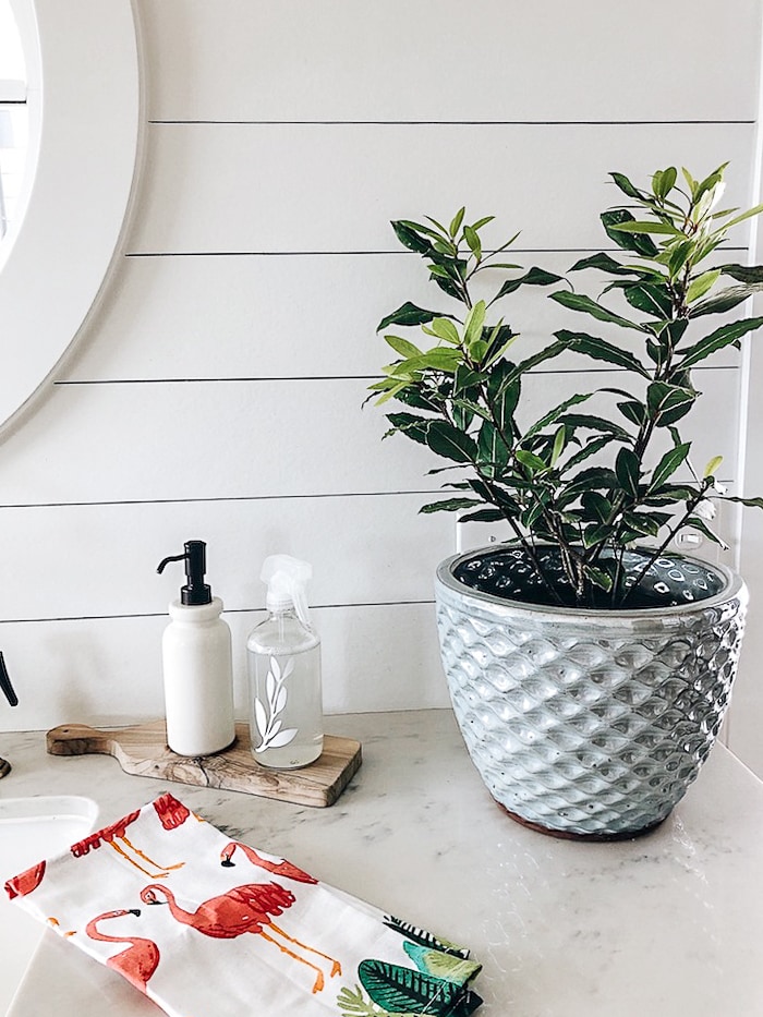 secret-making-cleaning-spark-joy