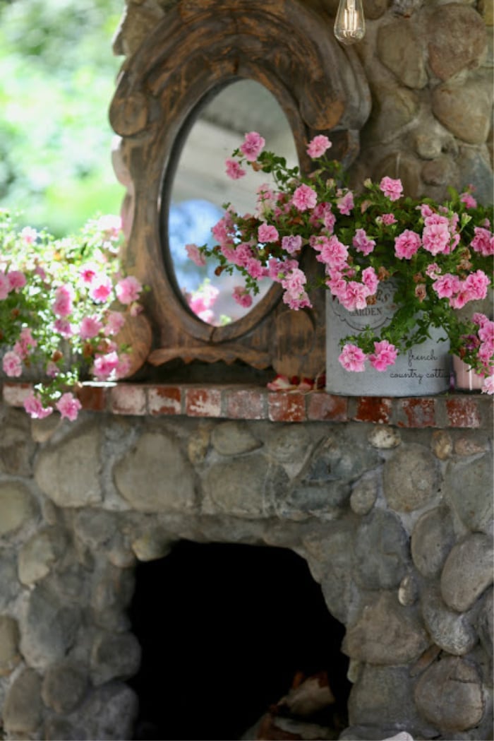 Blooms on the patio