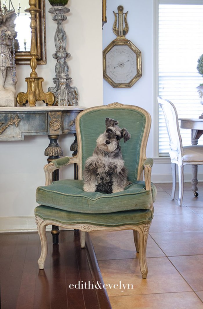 ATurquoiseVelvetFrenchChair