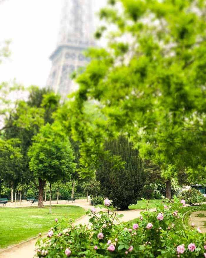 Paris Travel To Consider For The Future