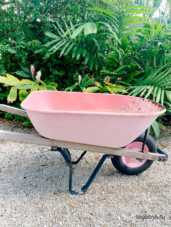 Most Common Gardening Tools And Their Uses shabbyfufu