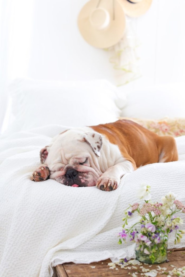 Summer guest bedroom refresh