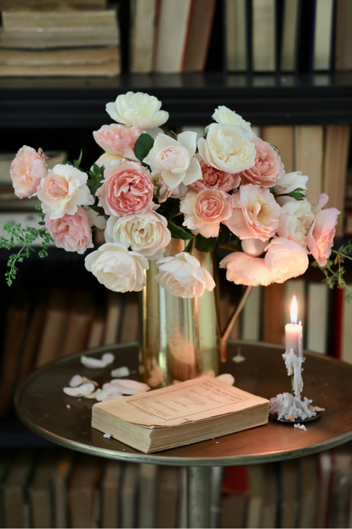 Peach roses in front of bookcase