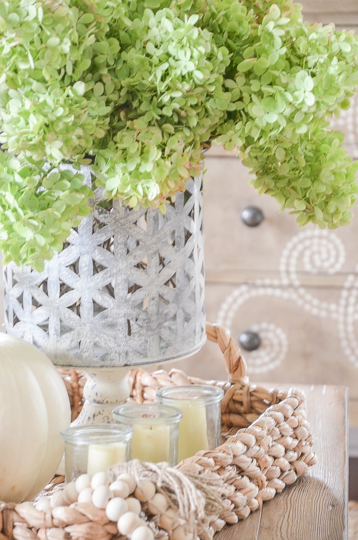 Fall Vignette