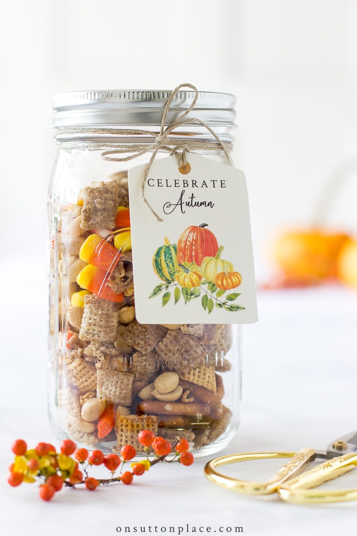 Printable Fall Gift Tags from On Sutton Place
