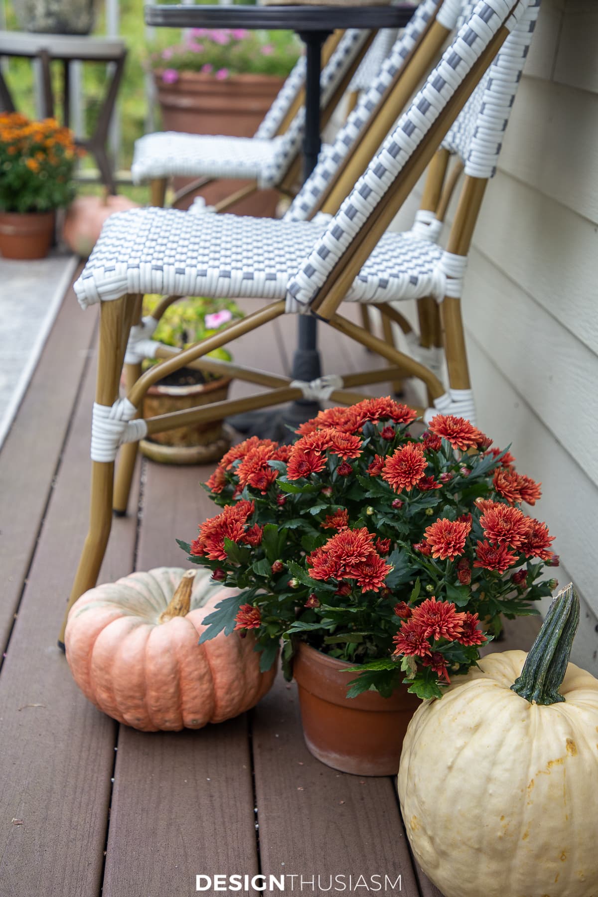 mums and pumpkins on the fall patio
