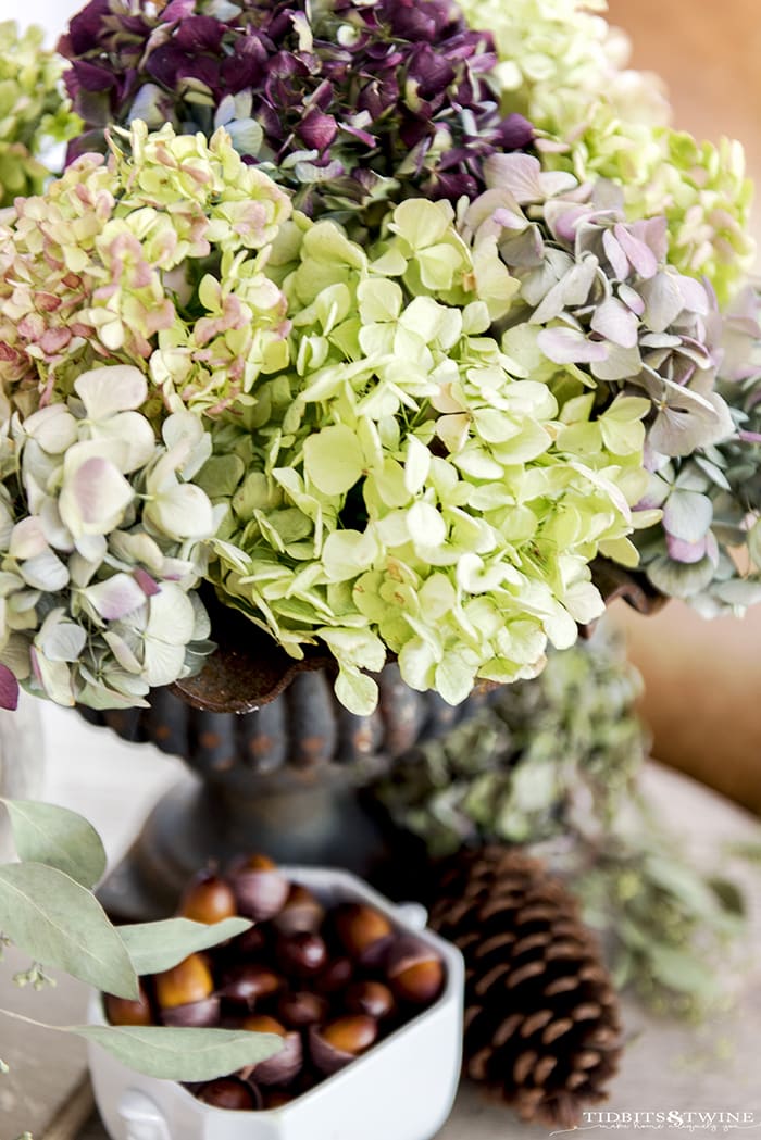 Fall Decorating Ideas Using Natural Elements & Texture