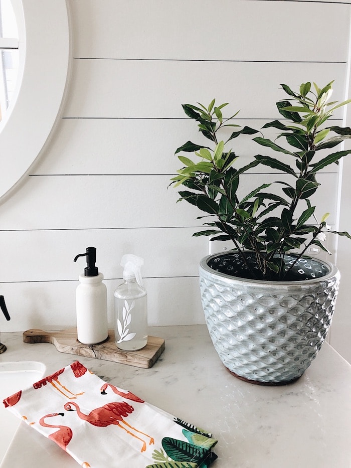 best-secret-making-cleaning-spark-joy-Glass-Spray-bottle-Thieves-Cleaner-All-natural-all-purpose-non-toxic-plant-based-cleaner