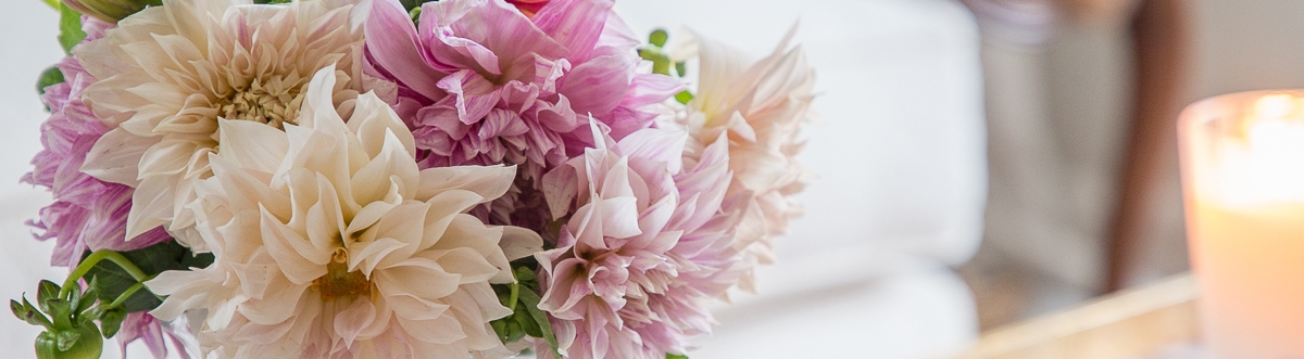 dahlias