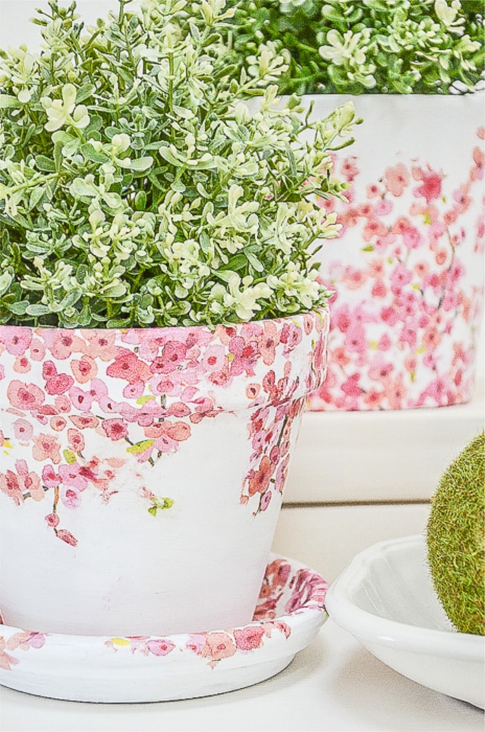 Torn Tissue Planters- StoneGable