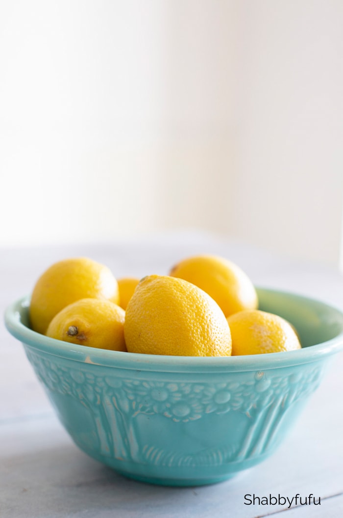 Shabbyfufu Spring Cleaning Tips