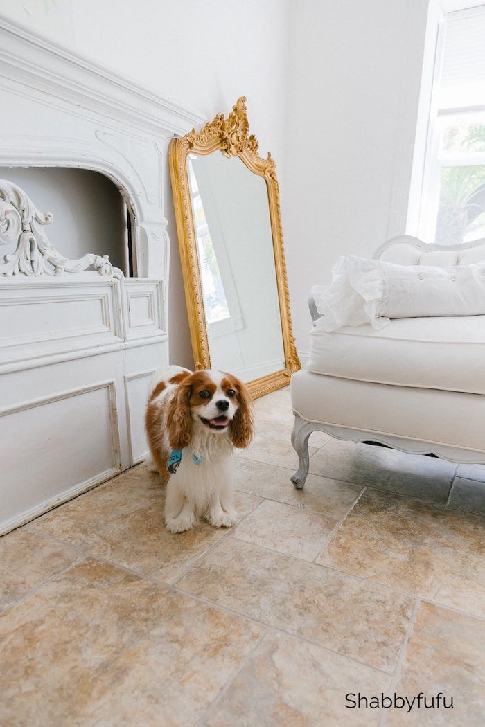 Shabbyfufu Spring Home Decluttering Guide