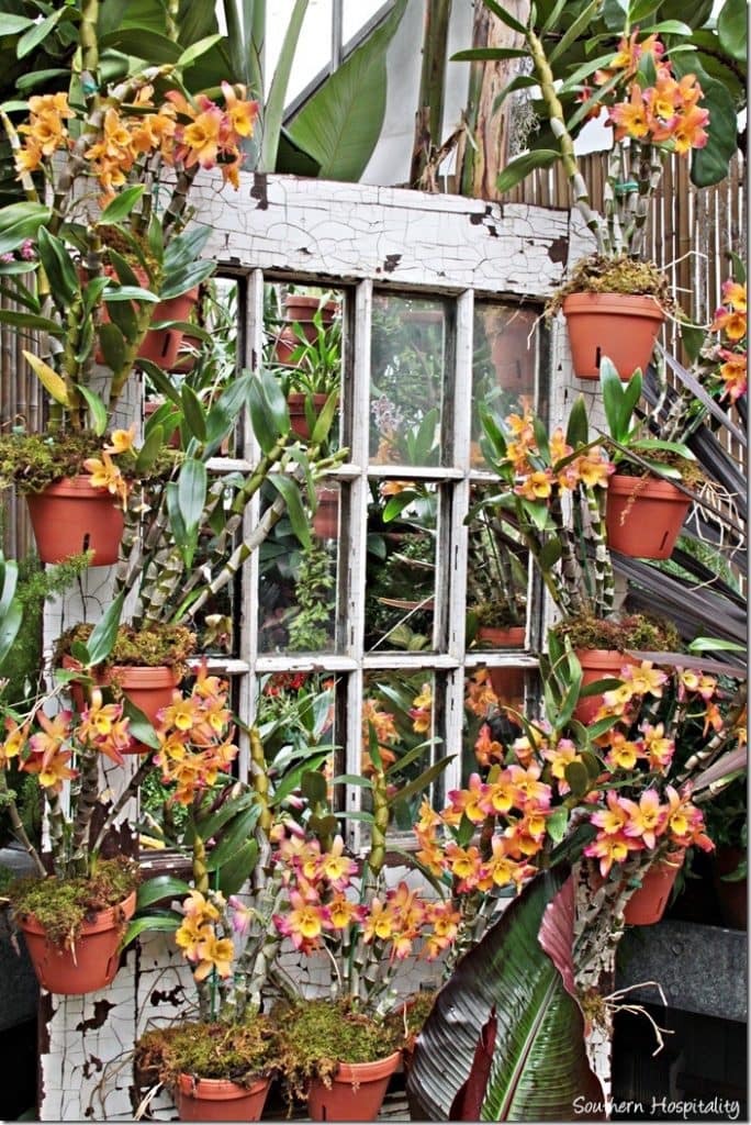 biltmore garden tour