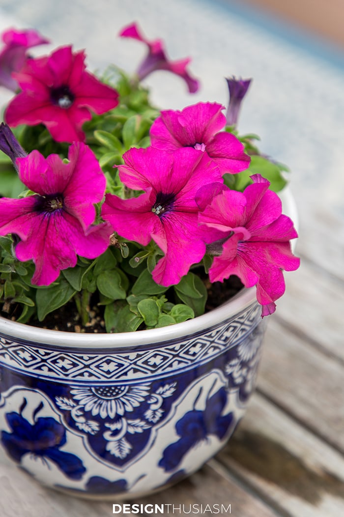 Gardening Round Up