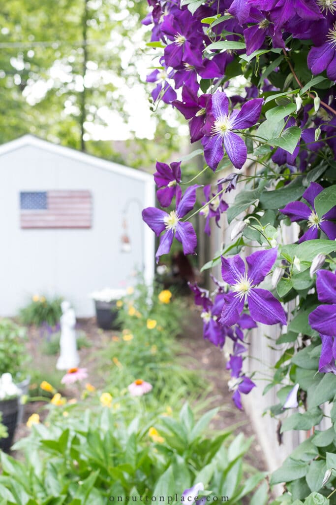 Elements of a Cottage Garden from On Sutton Place