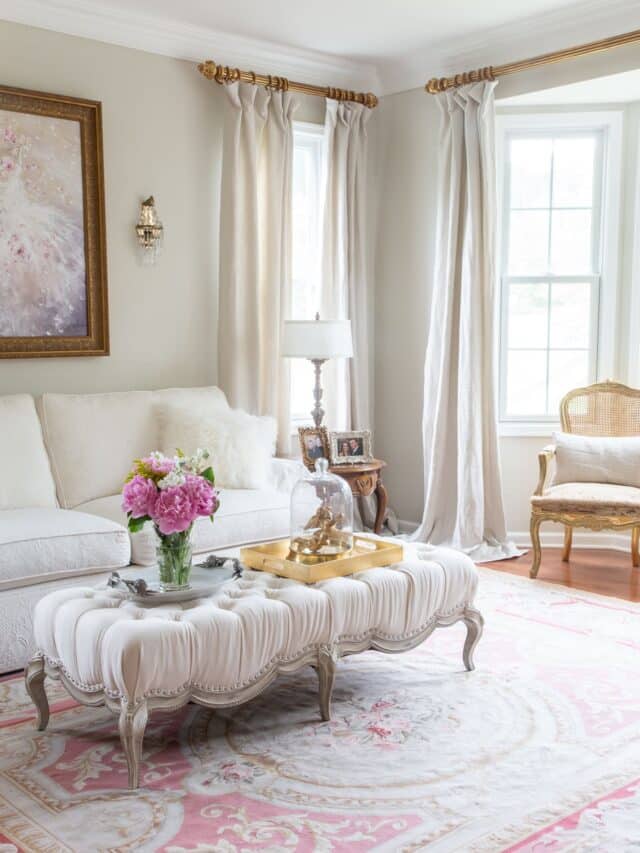 luxury living room sofa