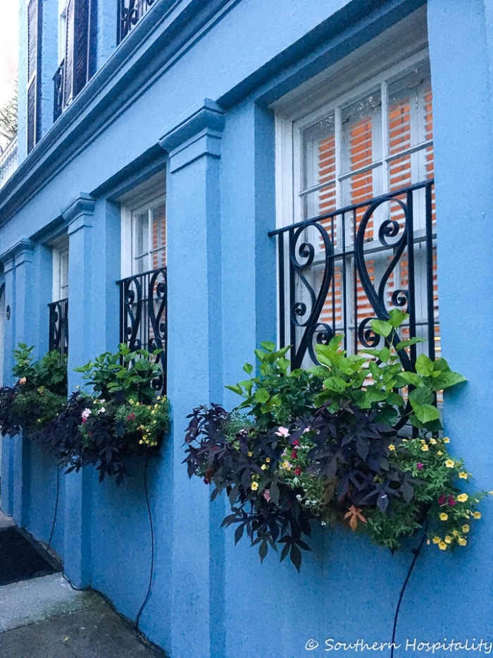 window boxes doors gates of charlestonSH