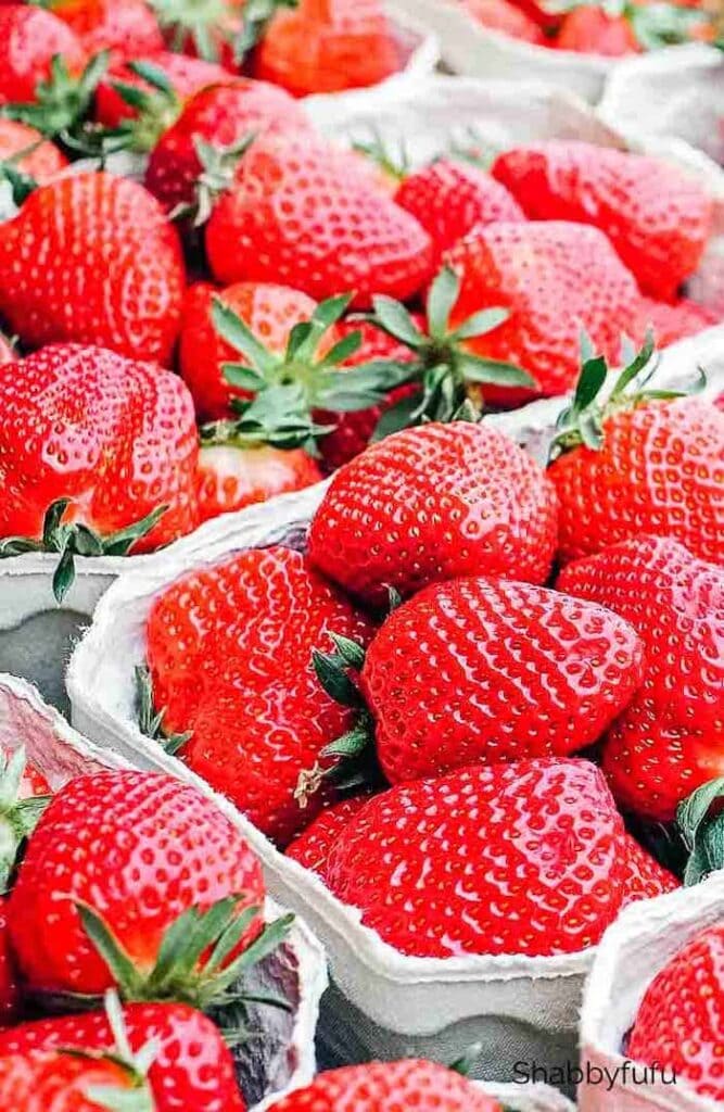 Strawberry Cobble With Bisquick - Shabbyfufu