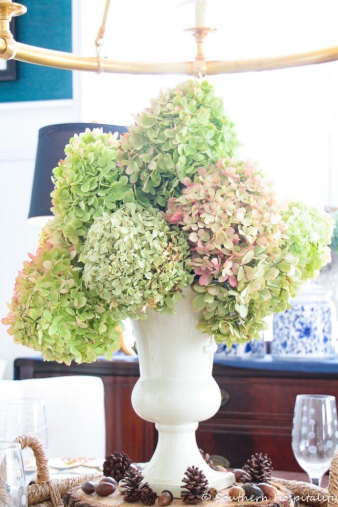 How to Dry Limelight HydrangeasSH