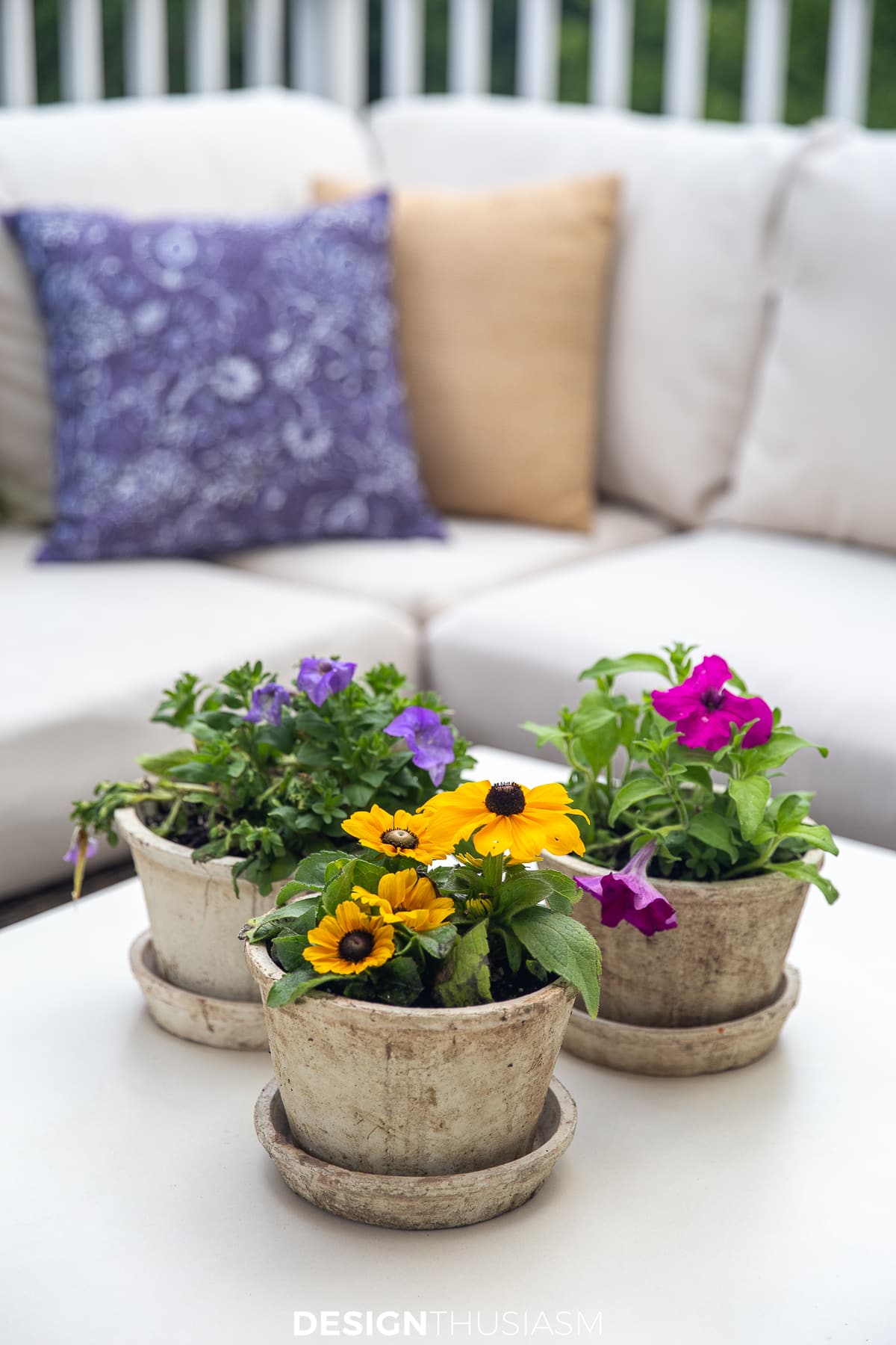 colorful plants in distressed planters on concrete coffee table