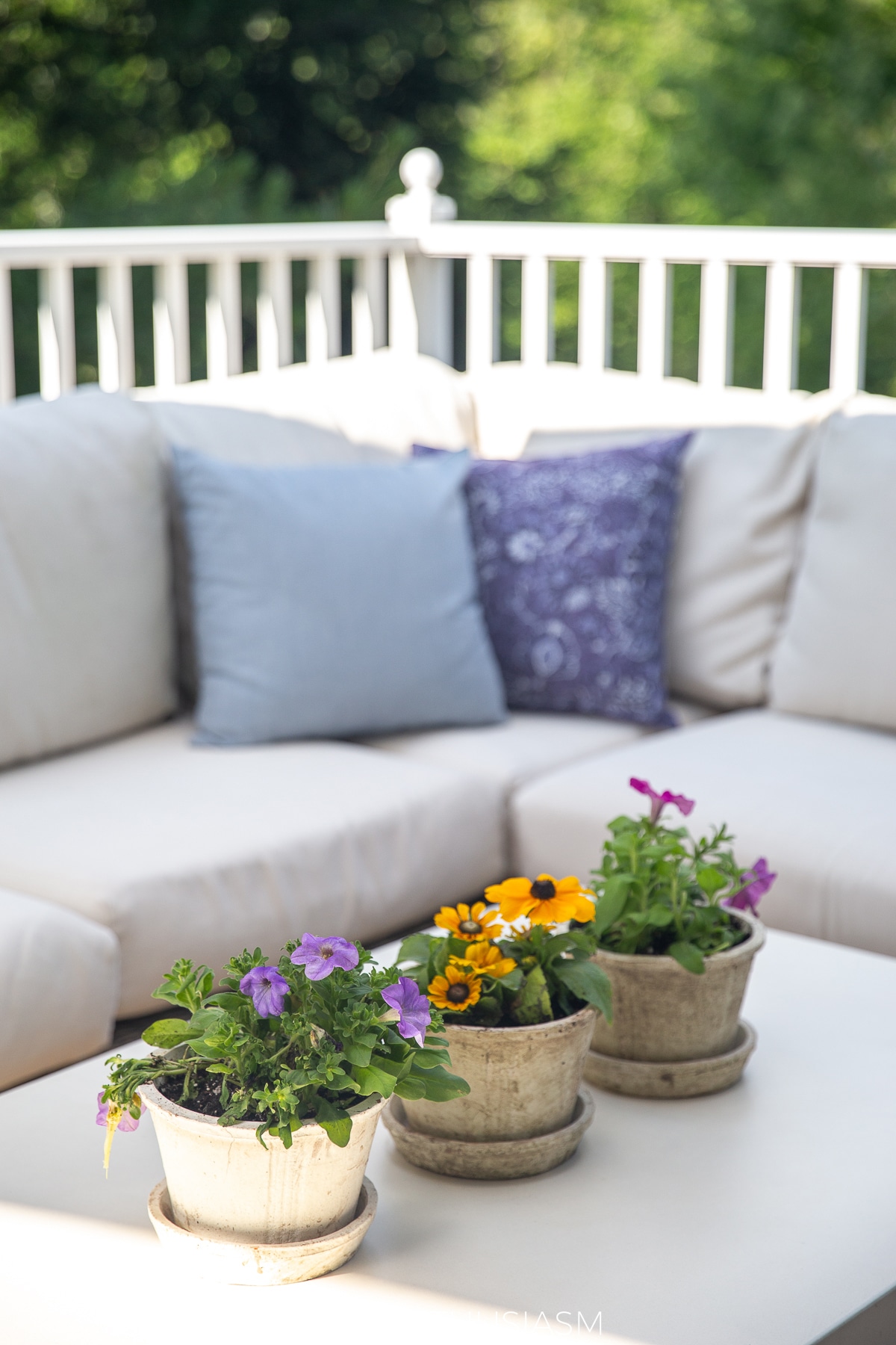 patio coffee table with fresh plants