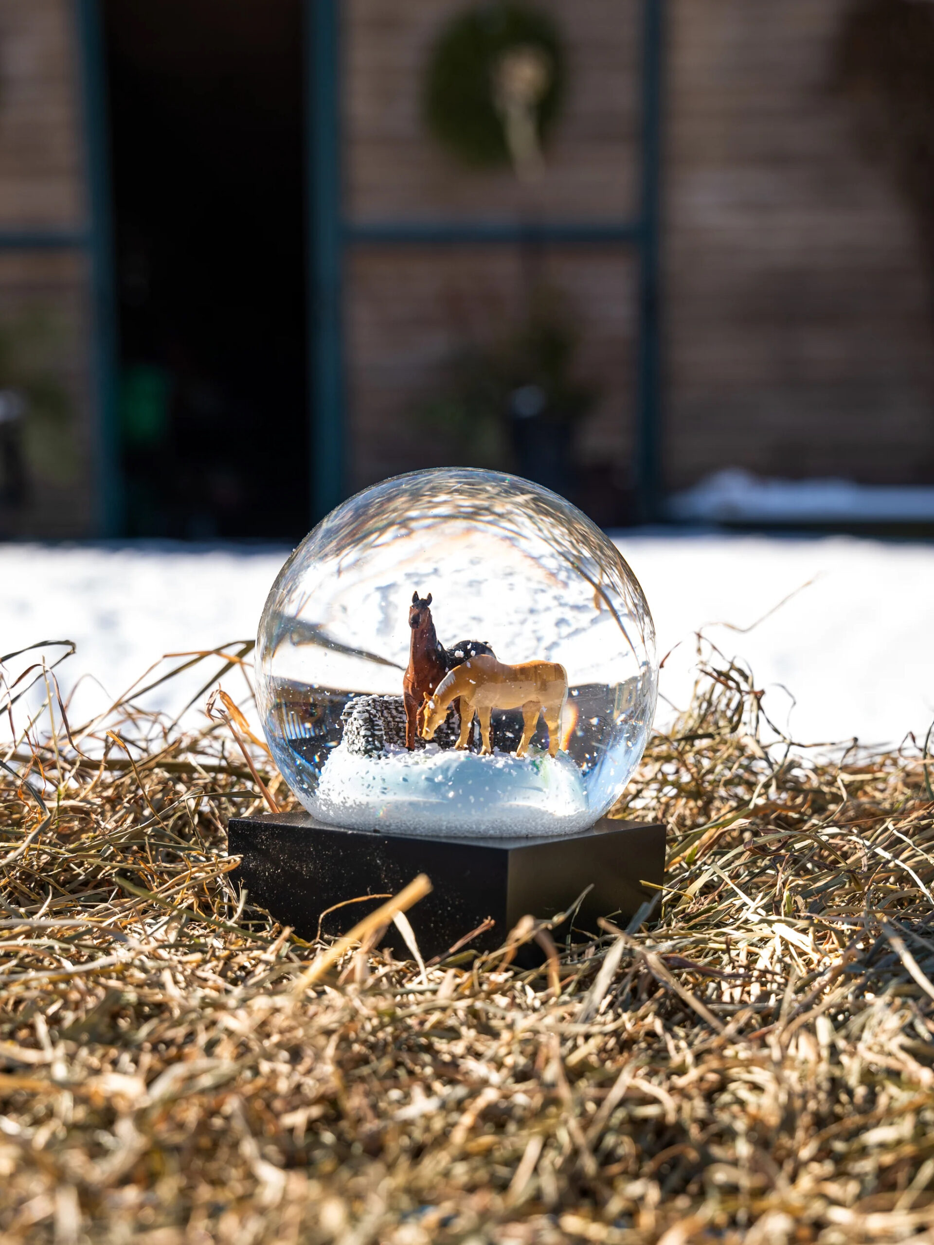 holiday gift guides for the pet lover