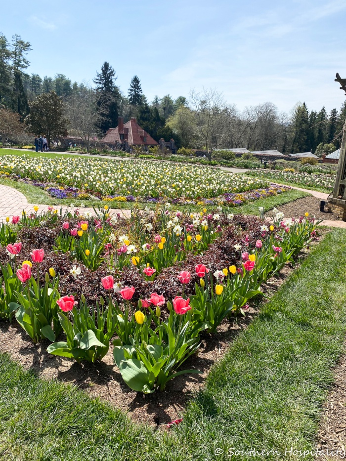 Biltmore-Blooms-garden-tour-2021