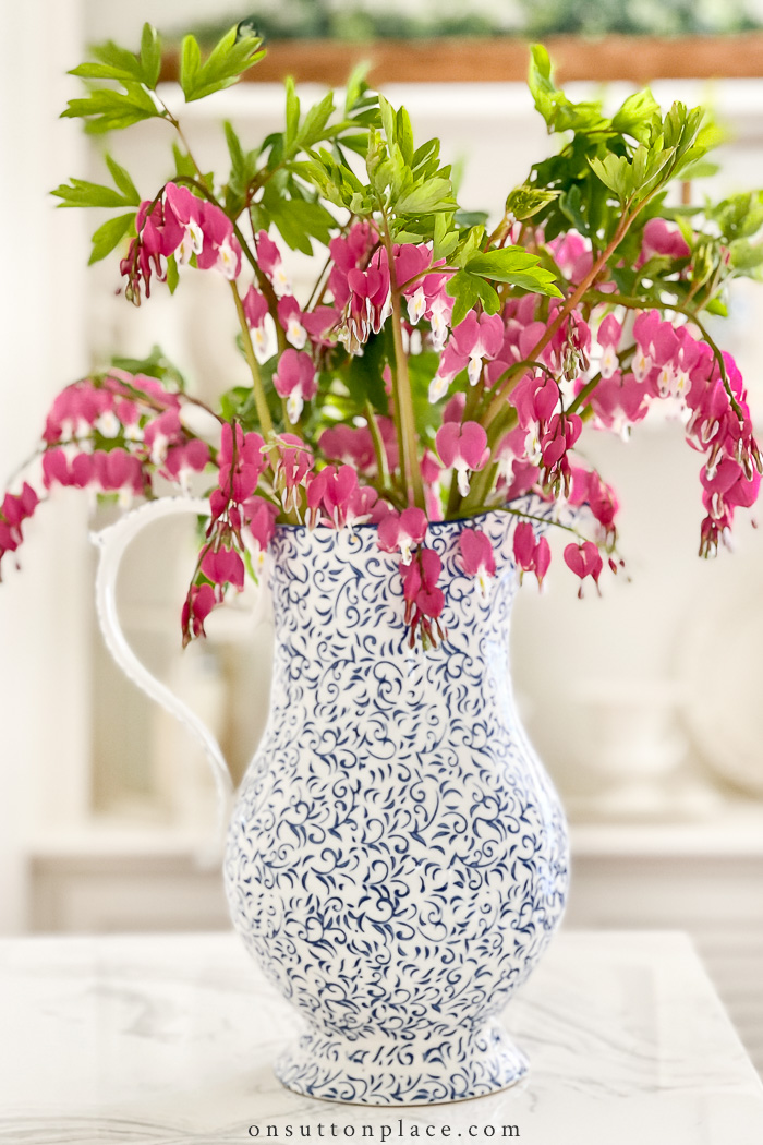 bleeding hearts in pitcher on sutton place