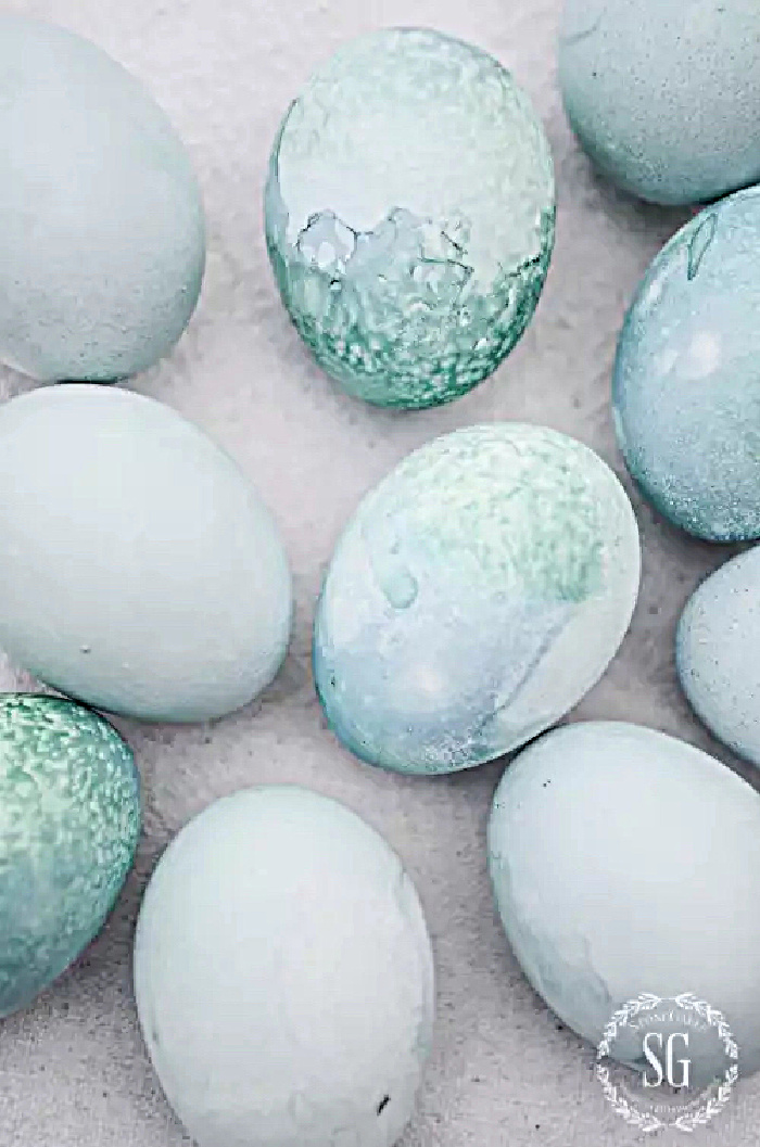 Blue Dyed Eggs- StoneGable