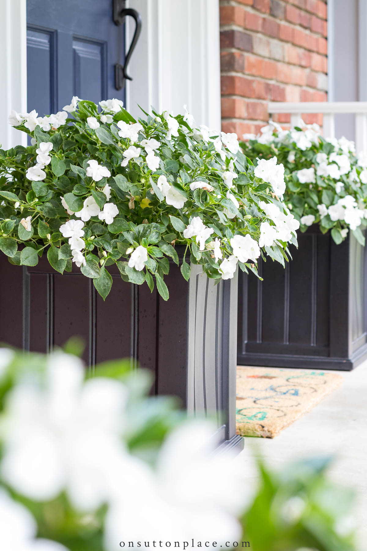 planters flanking the front door