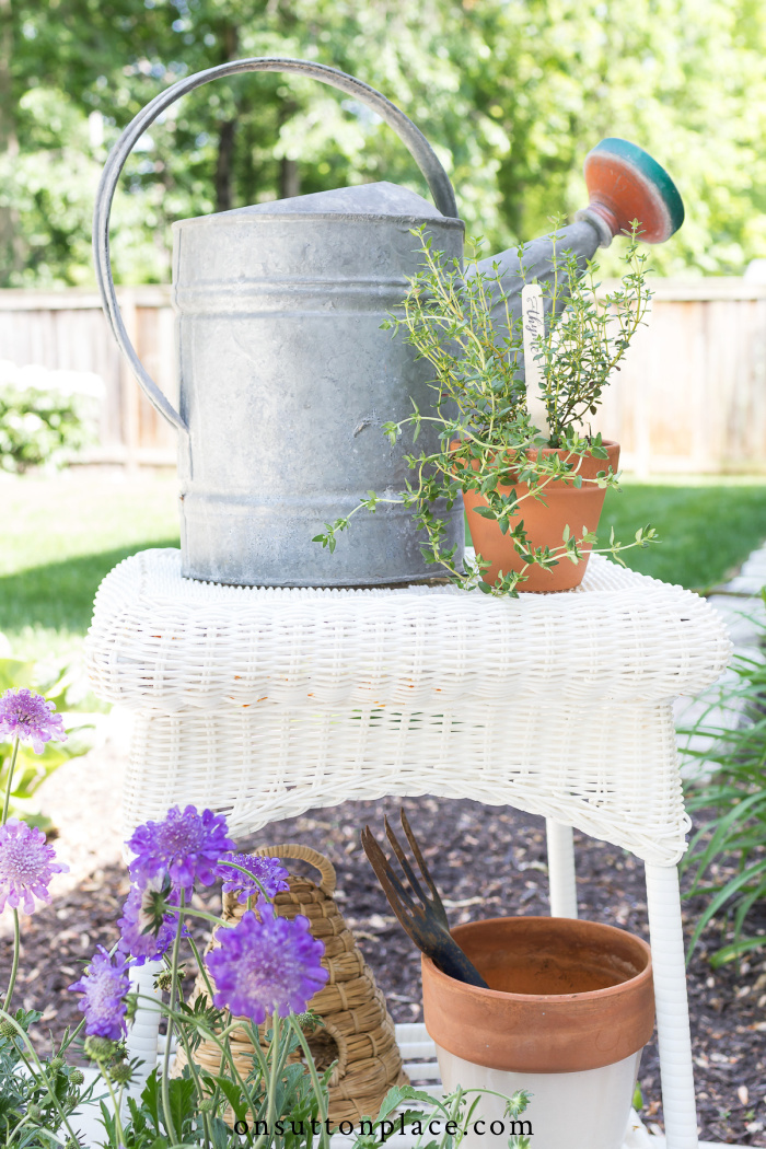 gardening tips for beginners on sutton place