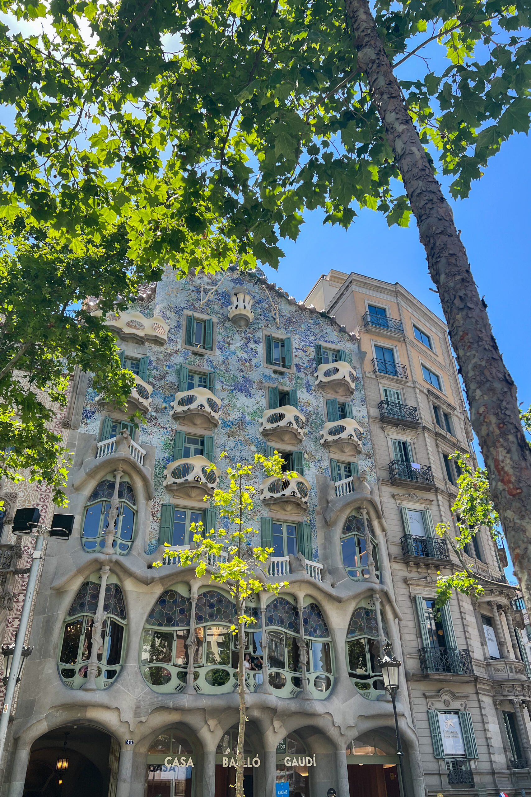 Casa Batlló, Barcelona
