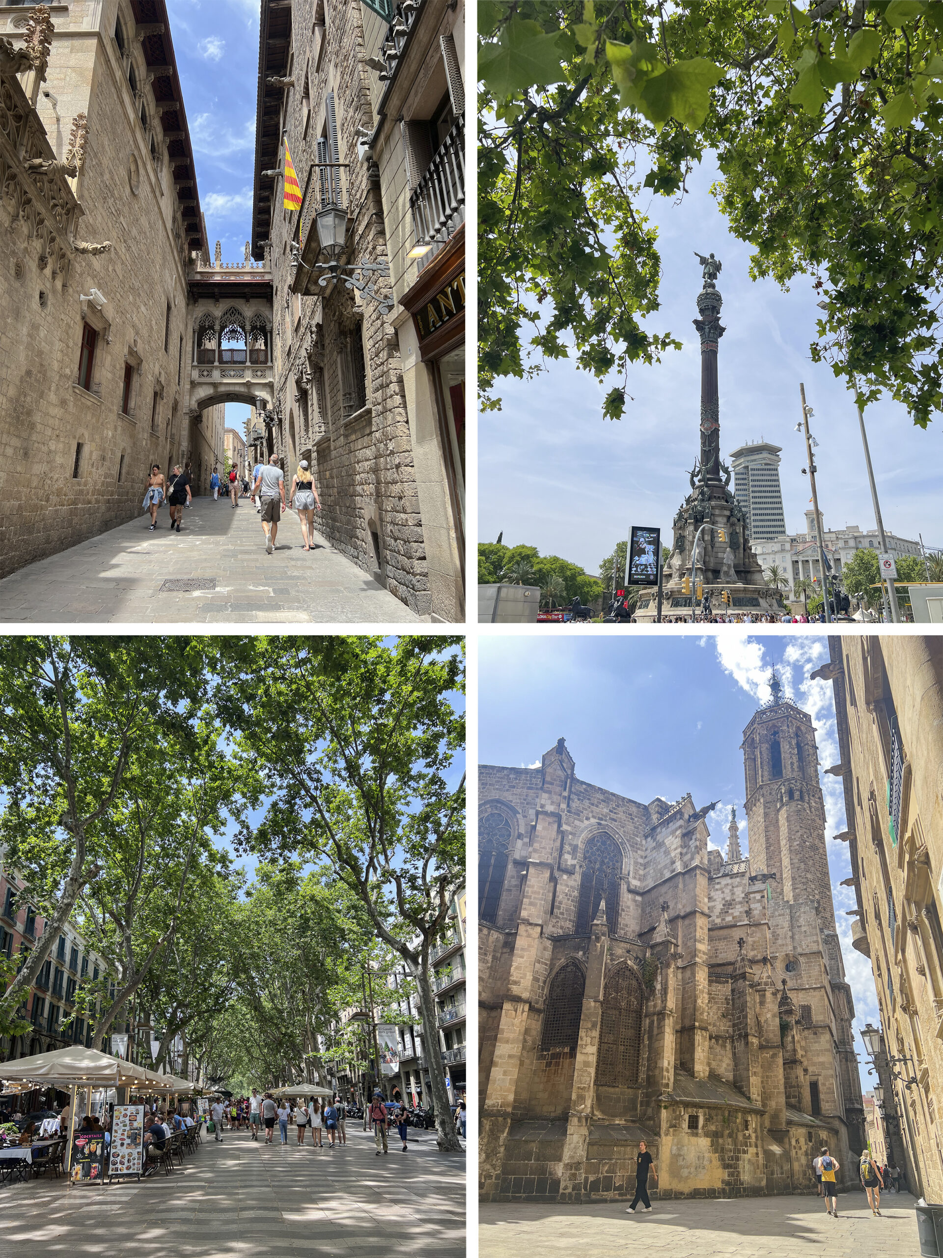 Pont del Bisbe, Mirador de Colom, Las Ramblas, Cathedral de Barcelona