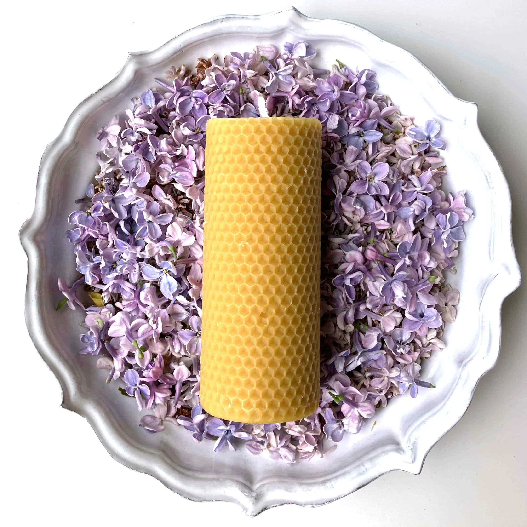 FrenchAddressApisCerapillarcandleflowers