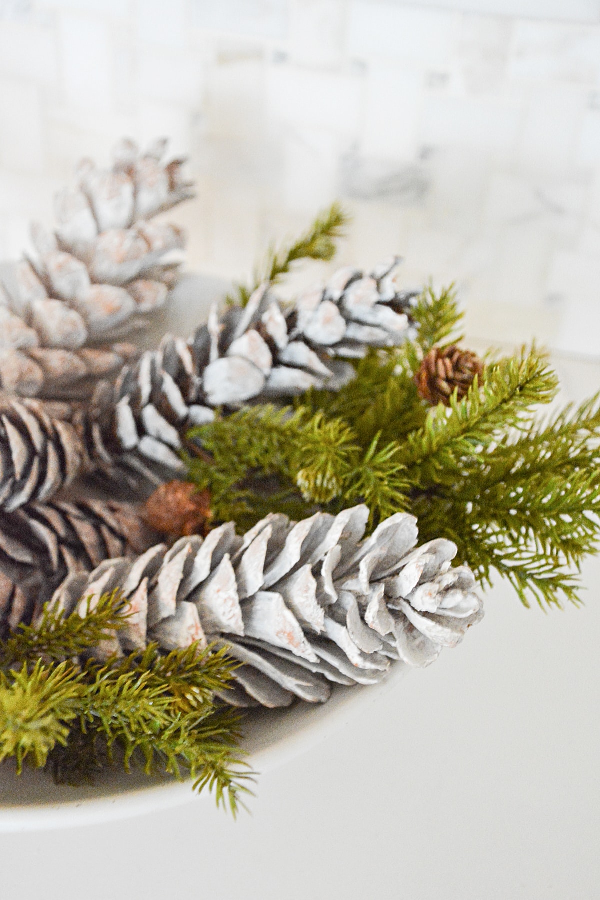 bowl of pinecones and greens