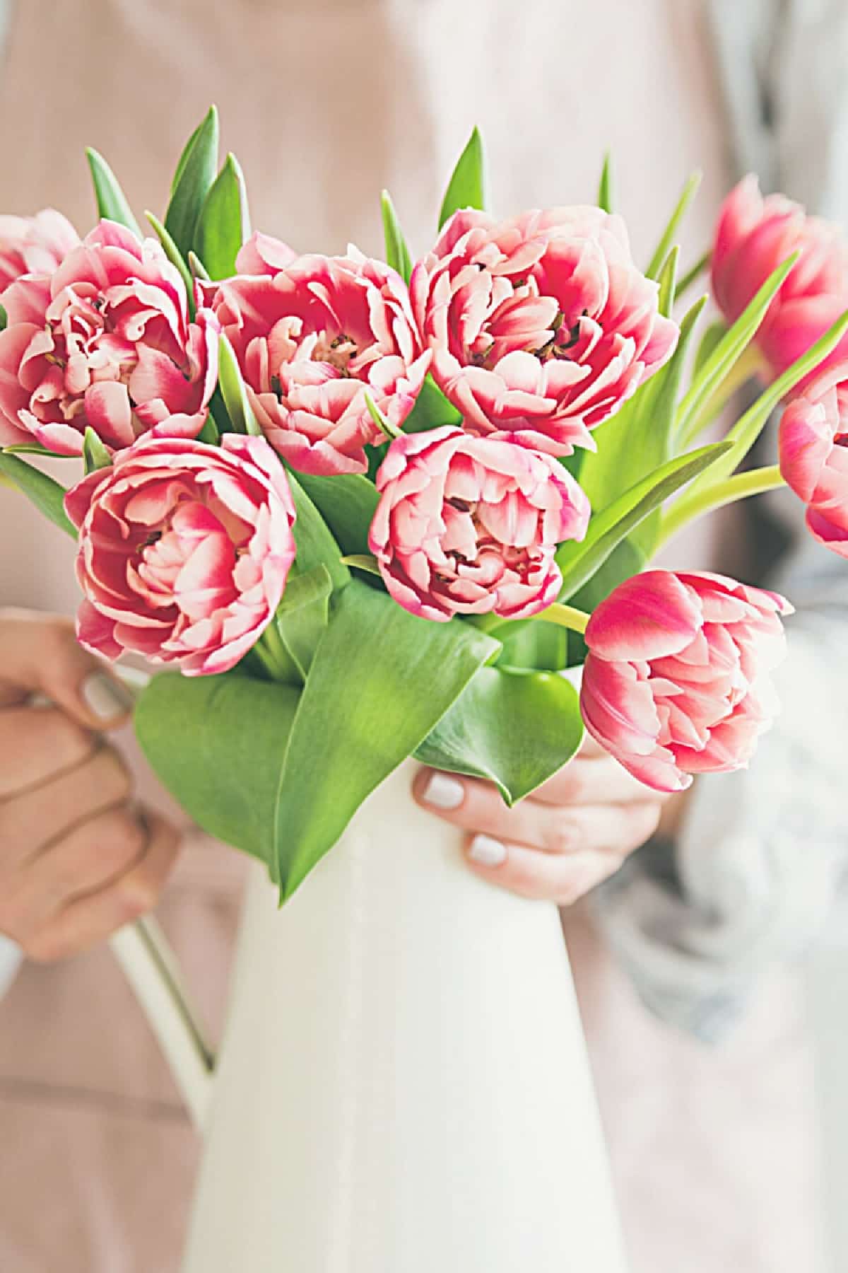 HSS #337 StoneGable- Cut Tulips