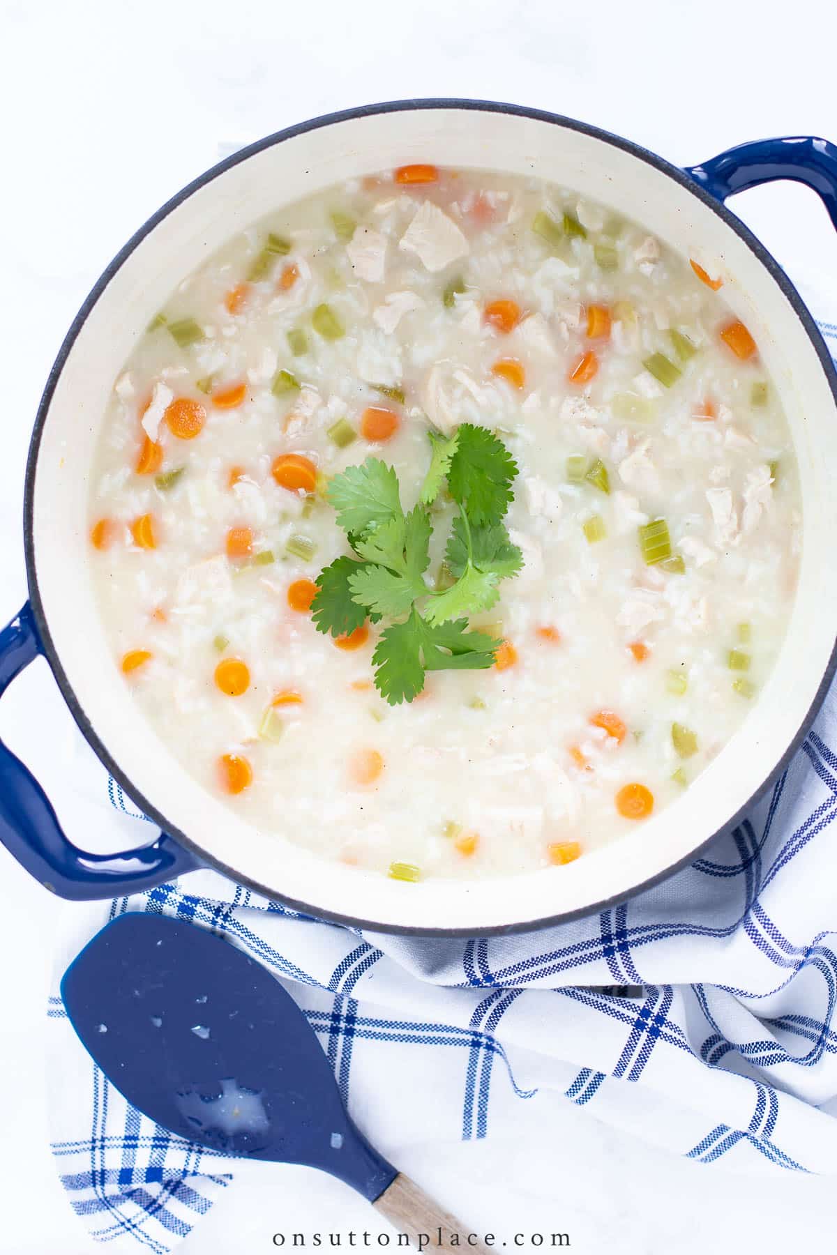 chicken and rice soup in dutch oven