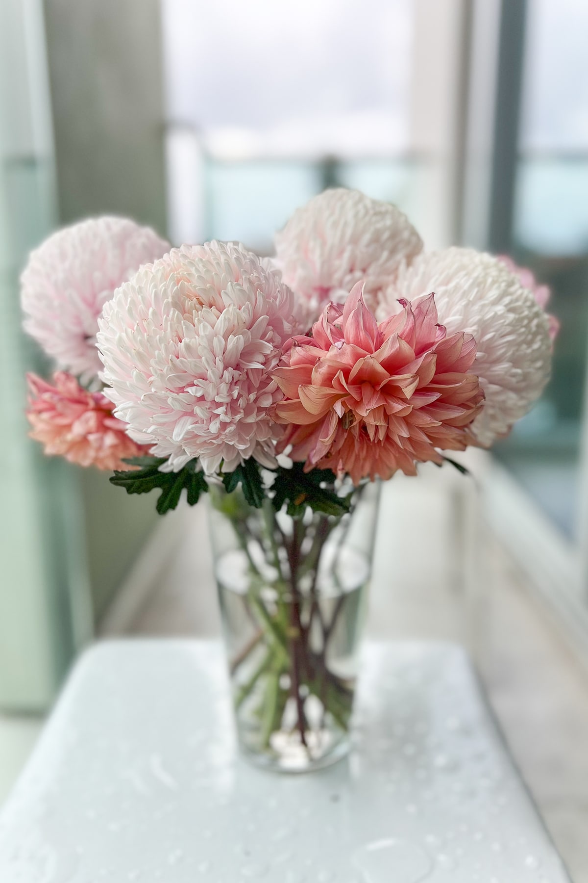 Dahlias and pompoms