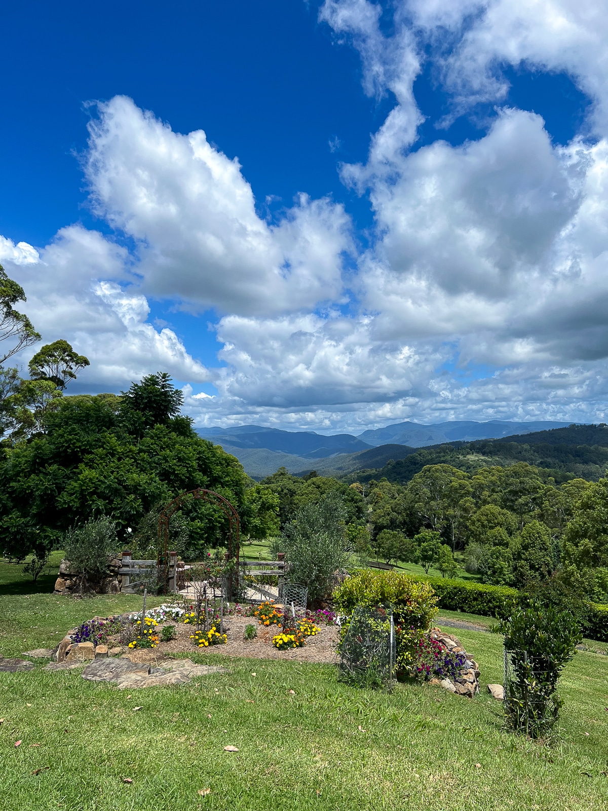 Gold Coast garden, Qld, Australia