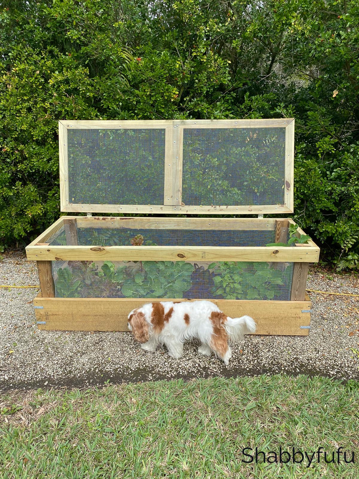 4:8 Shabbyfufu Grow & Cultivate Herb Garden