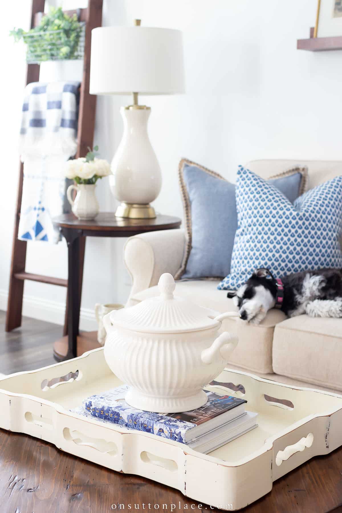 WWW 90 spring living room with schnauzer on sofa