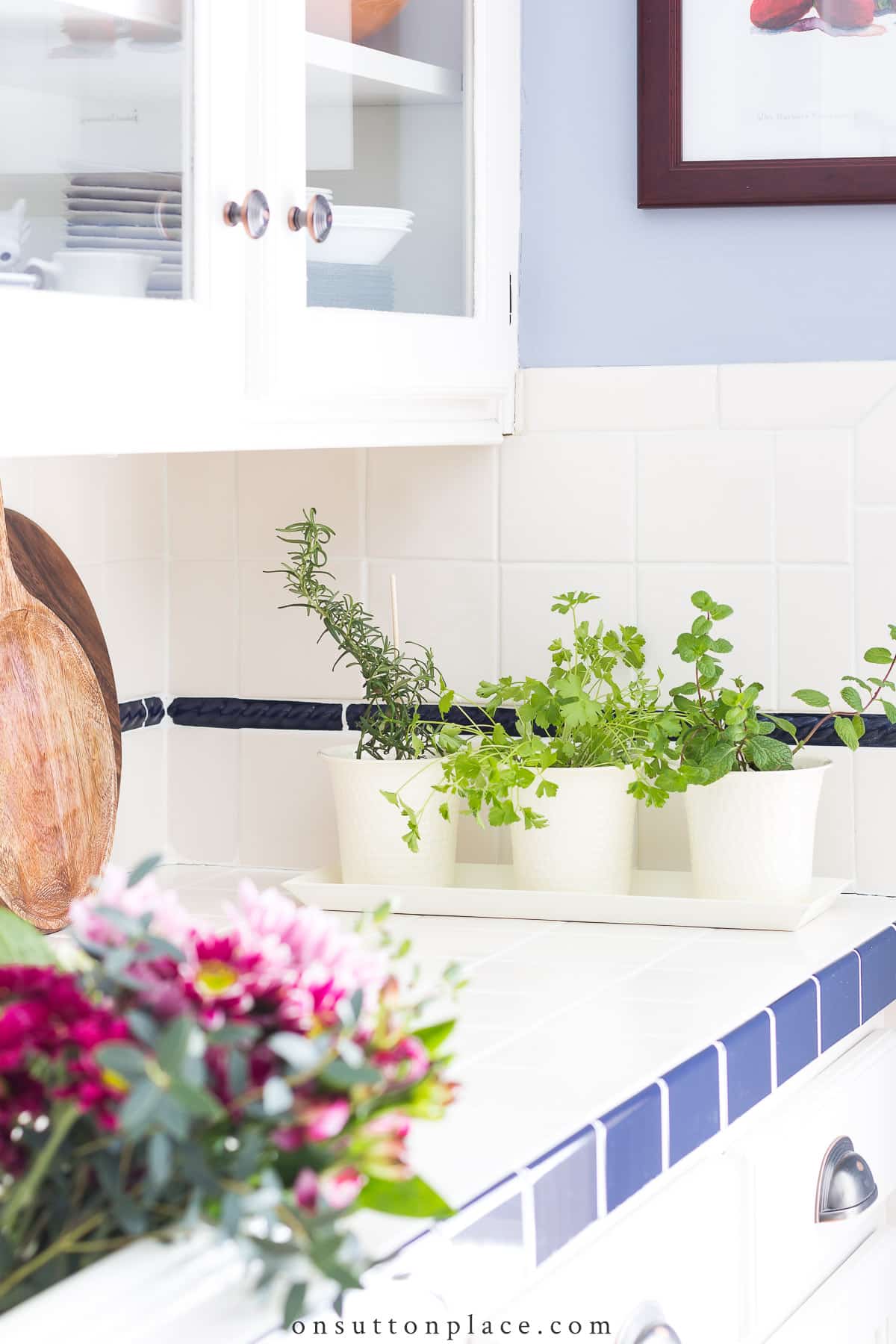 kitchen herb garden on tile countertop
